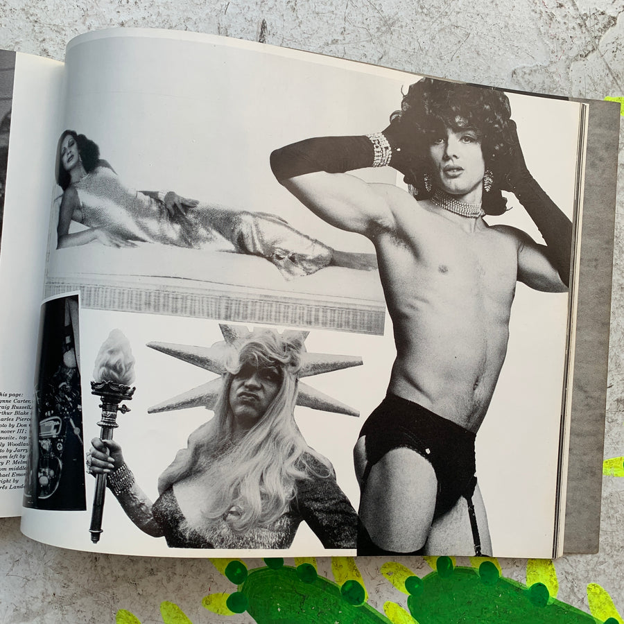 1978 The Gay Picture Book